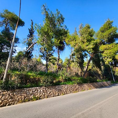Cozy Apartment For 4 In Kolonaki, Lycabettus Atenas Exterior foto