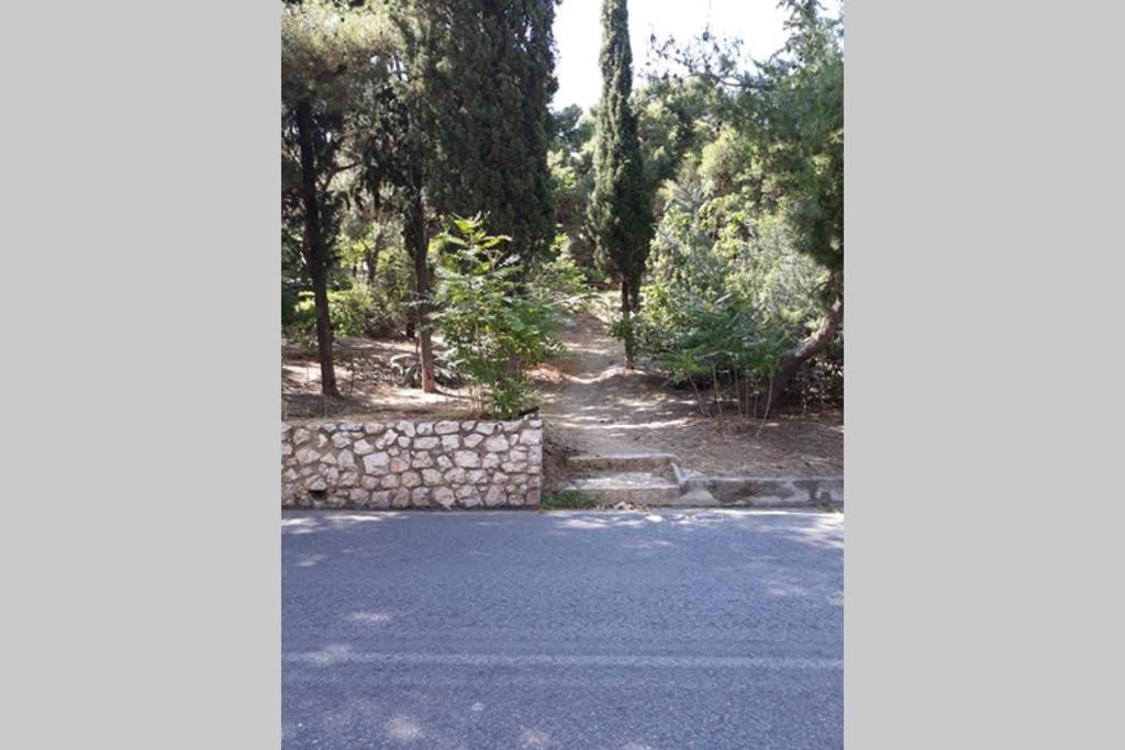 Cozy Apartment For 4 In Kolonaki, Lycabettus Atenas Exterior foto